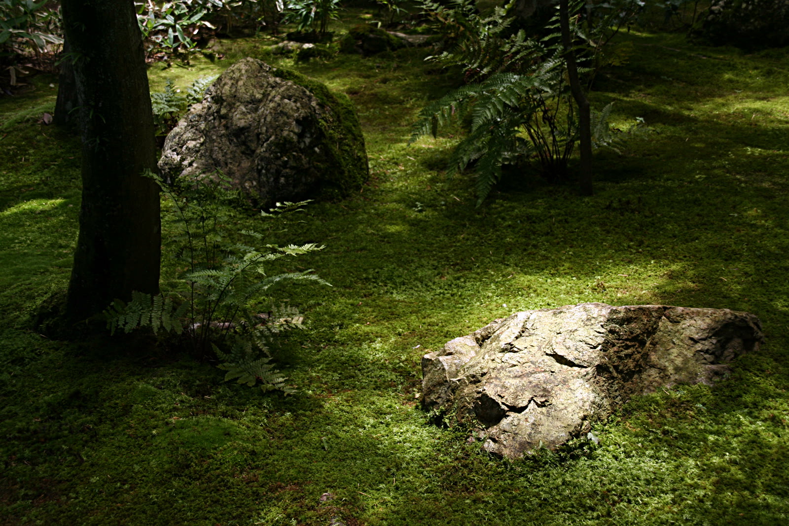 大徳寺