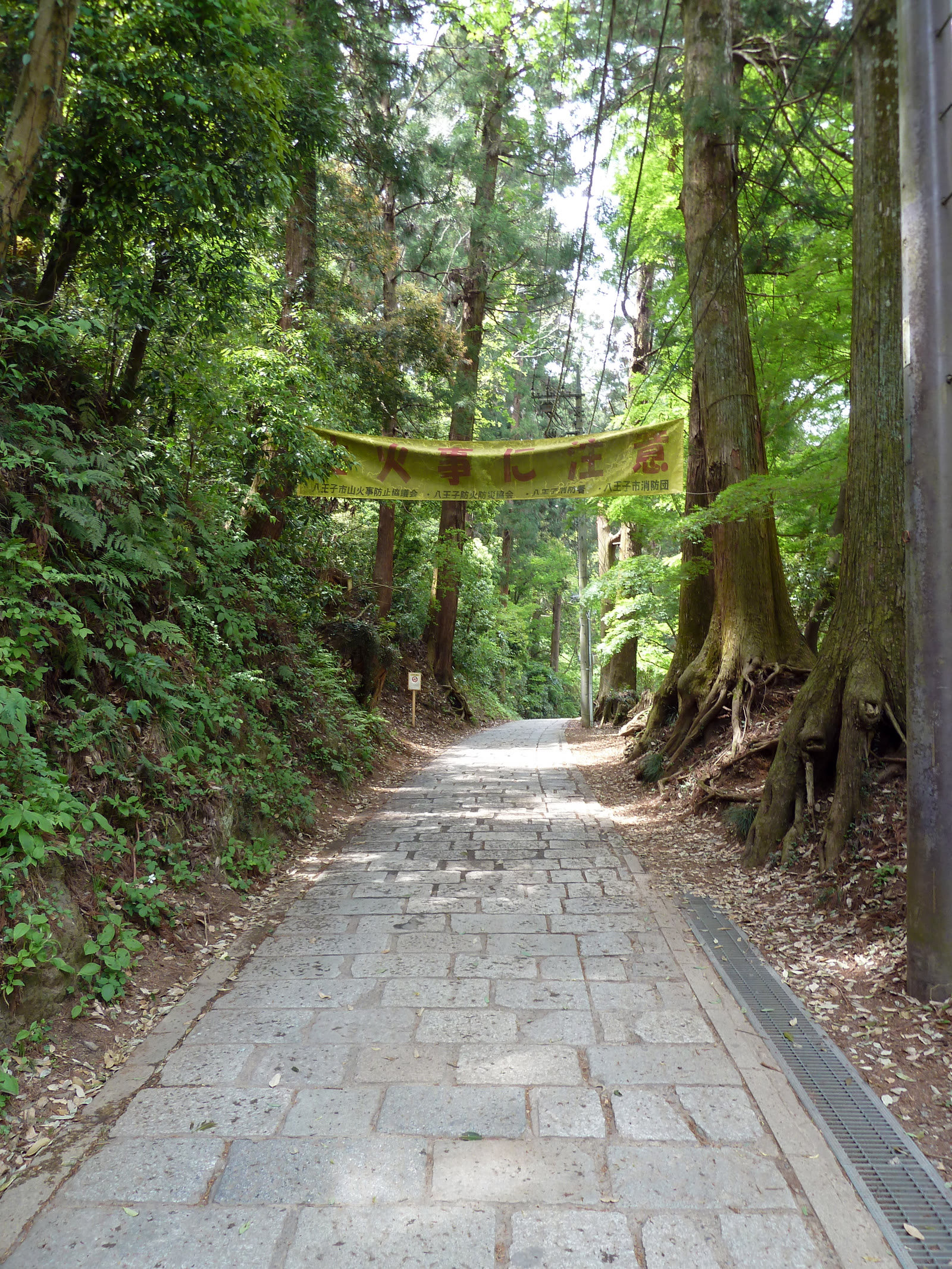 高尾山